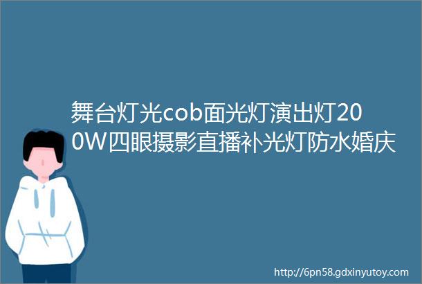 舞台灯光cob面光灯演出灯200W四眼摄影直播补光灯防水婚庆LED帕灯