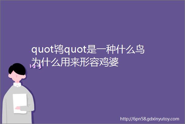 quot鸨quot是一种什么鸟为什么用来形容鸡婆